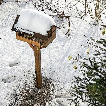 Am Rueckerlhof 公寓 *